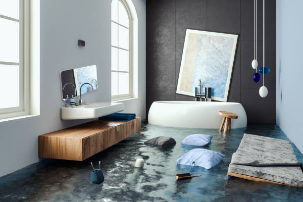 Best Local water damage restoration  in Centreville, VA