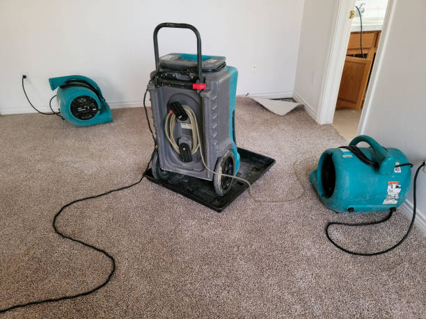 Best Residential water damage restoration  in Centreville, VA