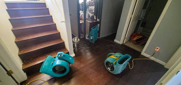 Best Ceiling water damage repair  in Centreville, VA