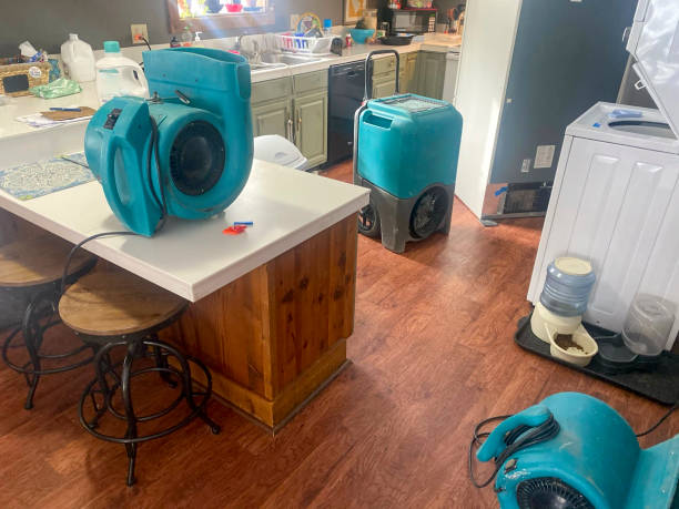 Best Carpet water damage restoration  in Centreville, VA