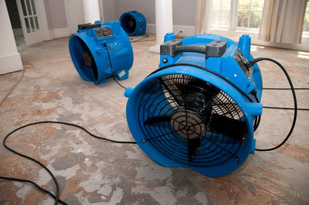 Trusted VA Water damage restoration Experts