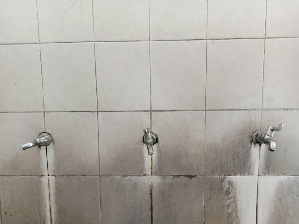 Best Water damage contractors near me  in Centreville, VA