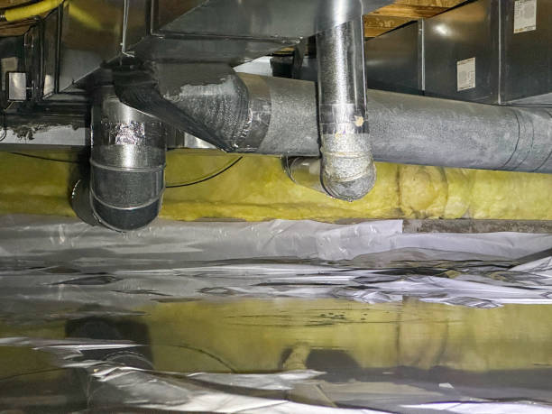Best Professional water damage repair  in Centreville, VA