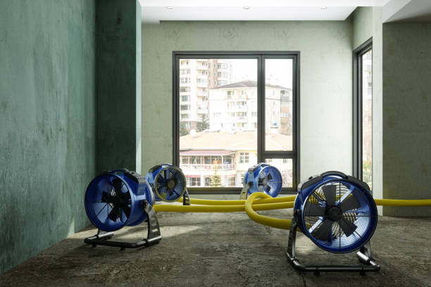 Best Local water damage restoration  in Centreville, VA