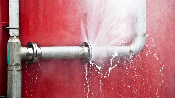 Best Flood damage cleanup  in Centreville, VA