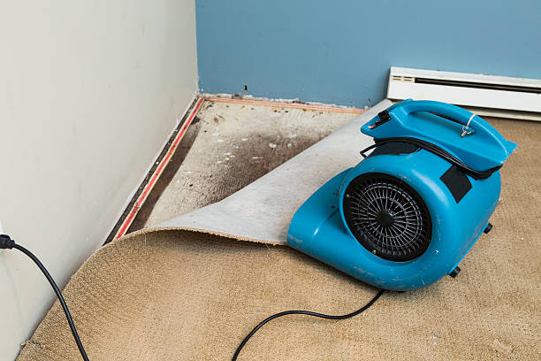 Best Local water damage restoration  in Centreville, VA